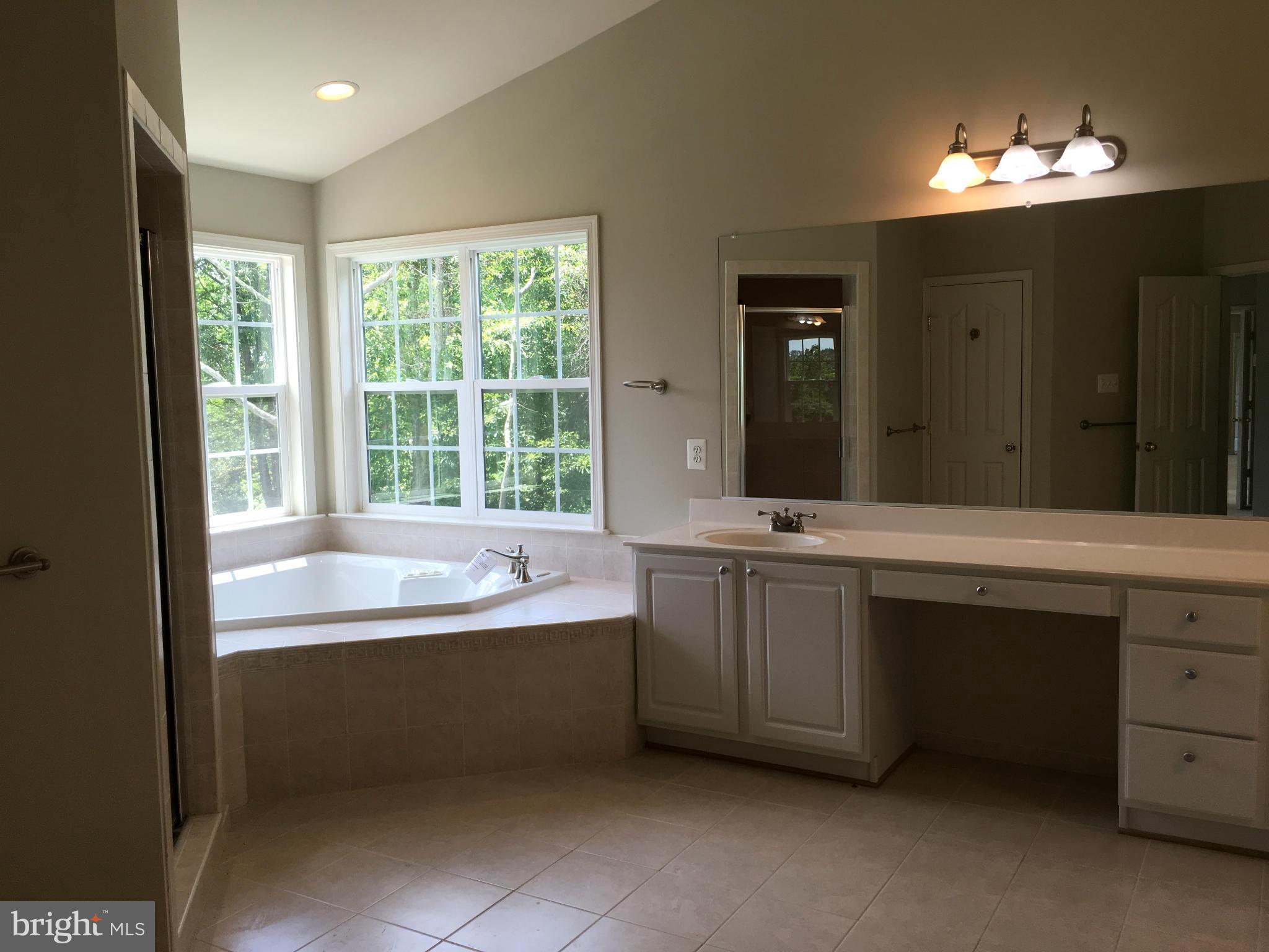 7830 Brink Road Laytonsville, MD 20882 - Photo 23 of 30 Bath (Master)
