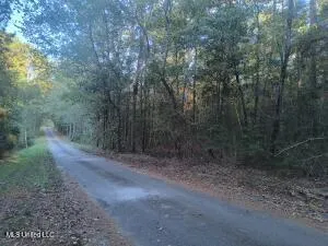 $360,000 | Azalea Lane, Ovett, MS 39464