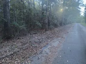 $360,000 | Azalea Lane, Ovett, MS 39464