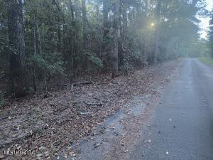 Azalea Lane Ovett, MS 39464 - Photo 3 of 3 land