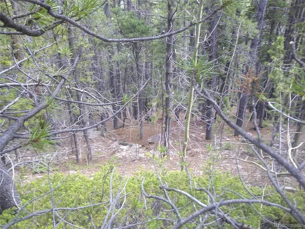 $23,500 | 441 Hillside Road, Idaho Springs, CO 80452