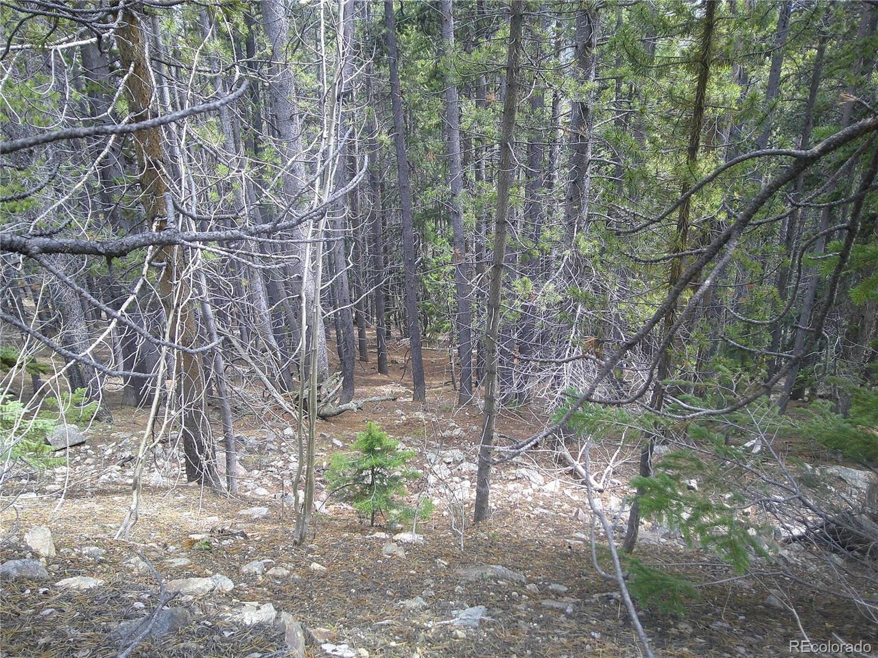 441 Hillside Road Idaho Springs, CO 80452 - Photo 2 of 5