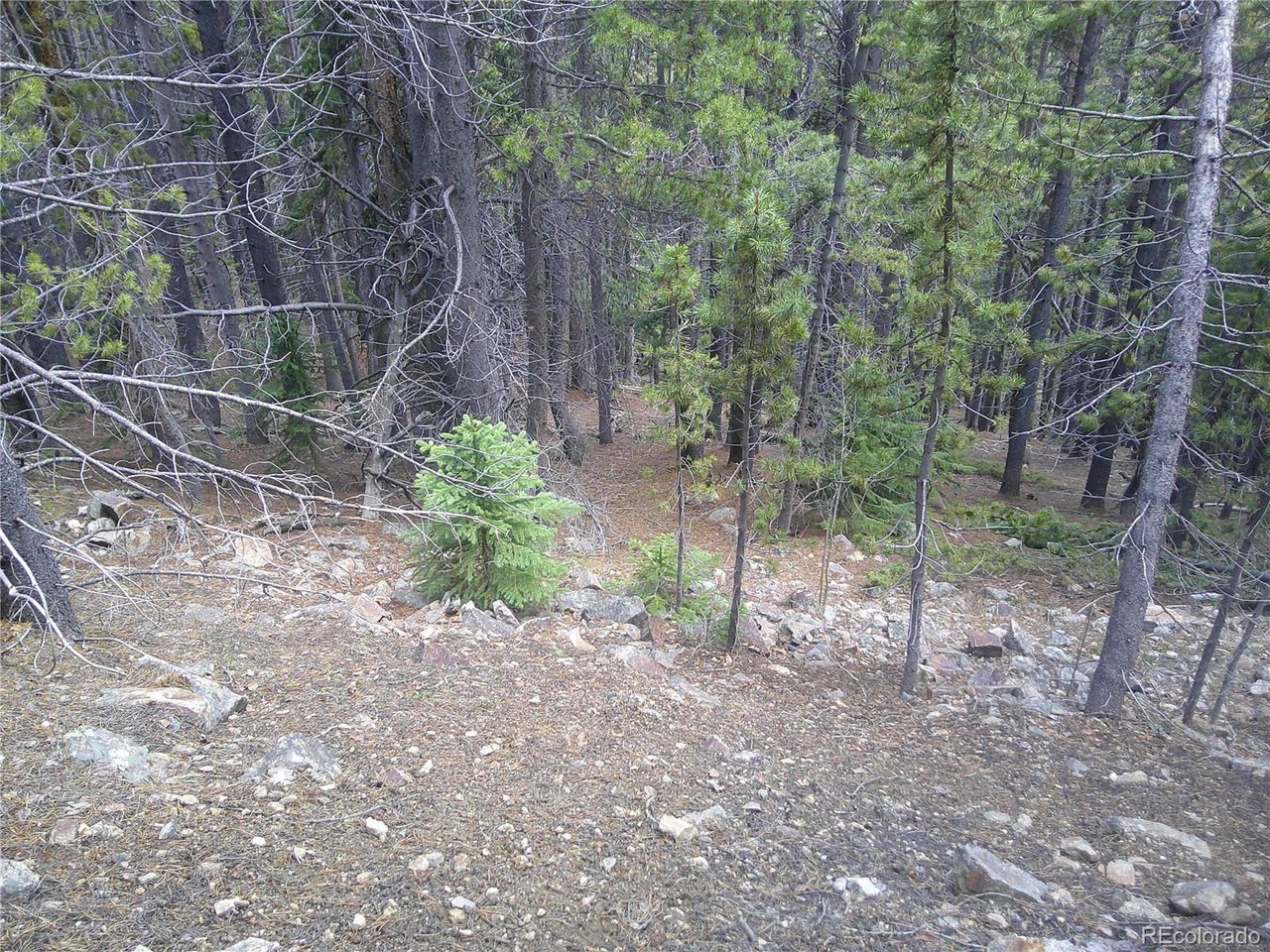 441 Hillside Road Idaho Springs, CO 80452 - Photo 3 of 5