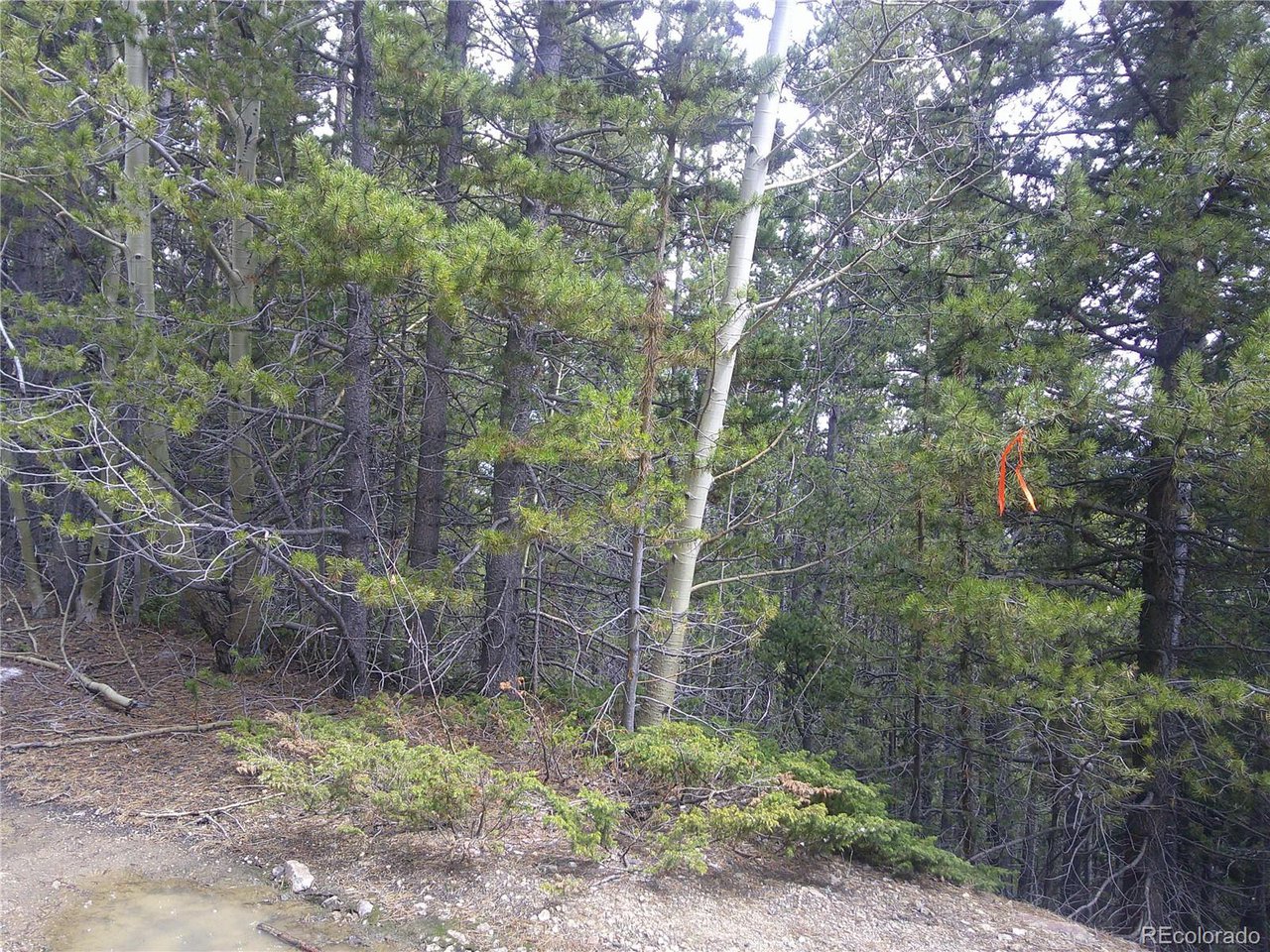 441 Hillside Road Idaho Springs, CO 80452 - Photo 4 of 5