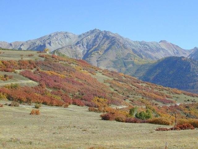 44999 T60 Road Telluride, CO 81435 - Photo 4 of 9 Additional Photo