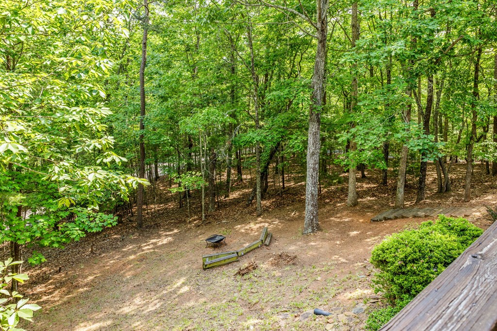 220 Blue Ridge Trail Morganton, GA 30560 - Photo 52 of 58
