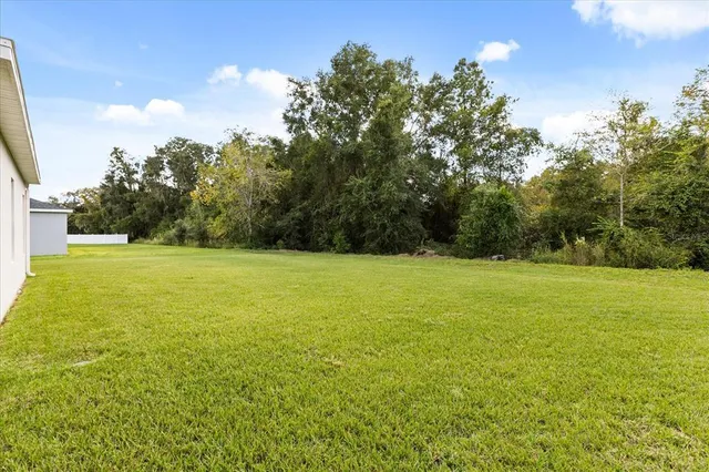 a view of a field with trees in the background