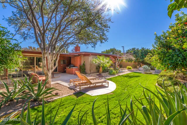 a view of a backyard with table and chairs potted plants and large tree