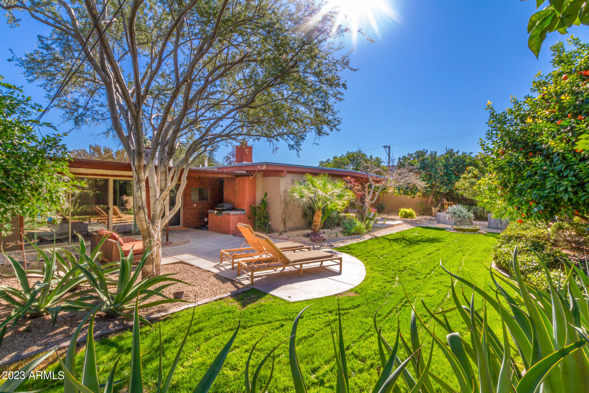 5018 North 71st Place Paradise Valley, AZ 85253 - Photo 18 of 22 a view of a backyard with table and chairs potted plants and large tree