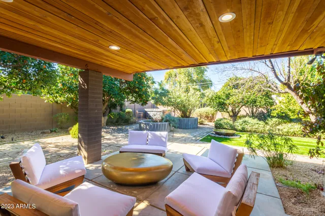a view of a yard with plants and trees