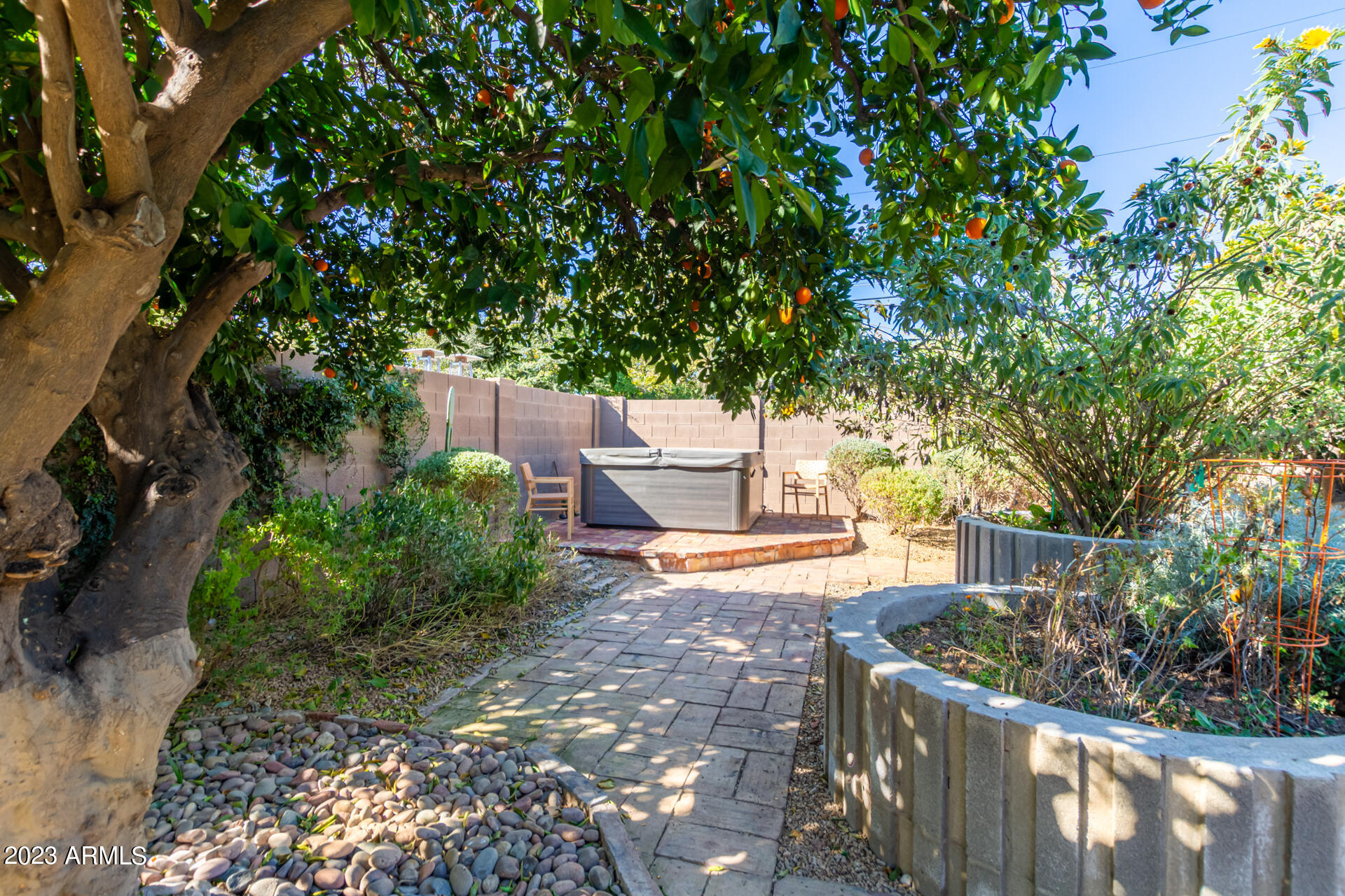 5018 North 71st Place Paradise Valley, AZ 85253 - Photo 22 of 22 a view of a yard with plants and trees