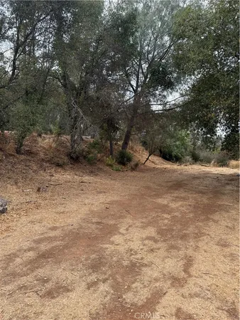a view of a dirt road with trees in the background