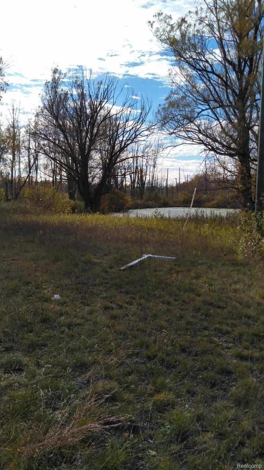 12 East 12 3/4 Road Manton, MI 49663 - Photo 11 of 11 Fall