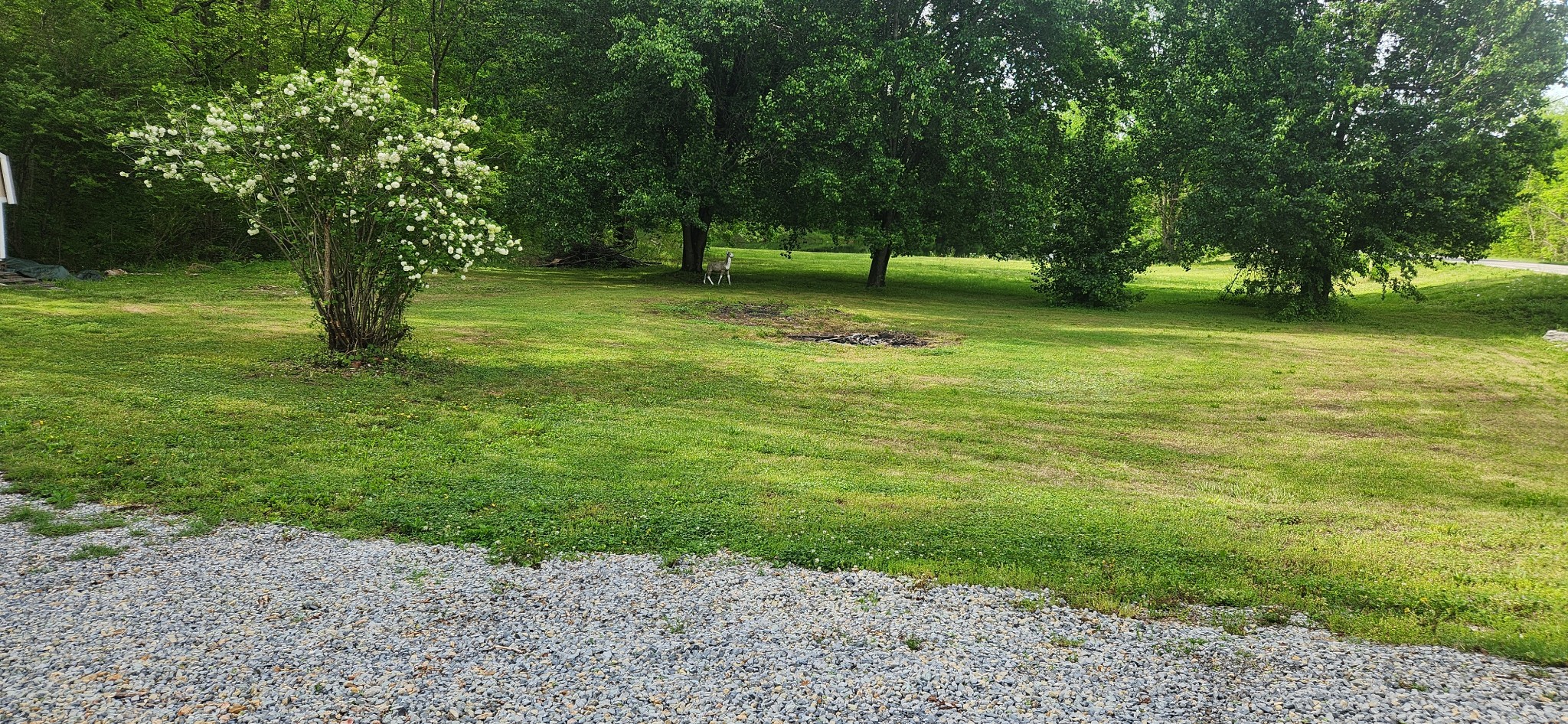 706 Highway 100 Centerville, TN 37033 - Photo 4 of 20