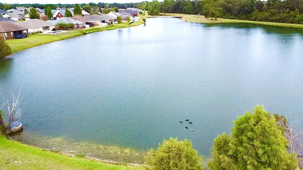 805 Pepperridge Road Dothan, AL 36301 - Photo 30 of 30