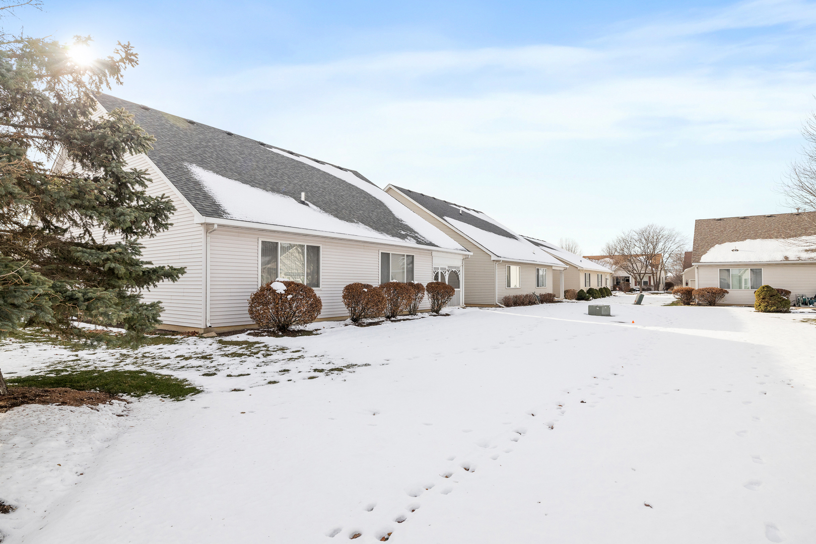 631 Saugatuk Circle Romeoville, IL 60446 - Photo 21 of 22 a view of a house with snow on the road