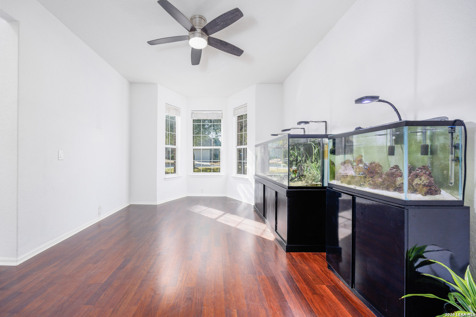 4702 Thomas Rusk San Antonio, TX 78253 - Photo 7 of 18 a living room filled with furniture and a large window
