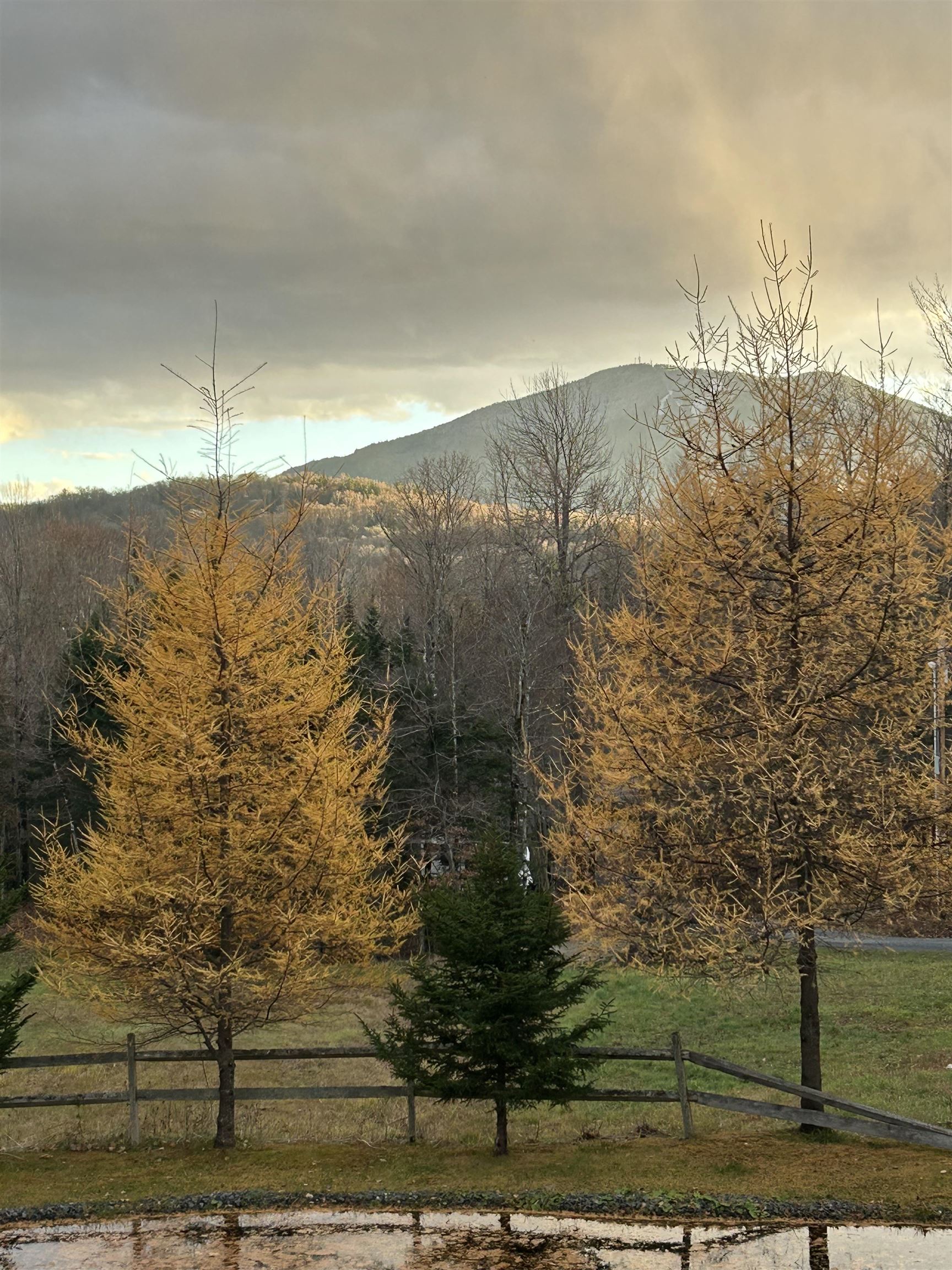158 Camp Road Burke, VT 05832 - Photo 53 of 60
