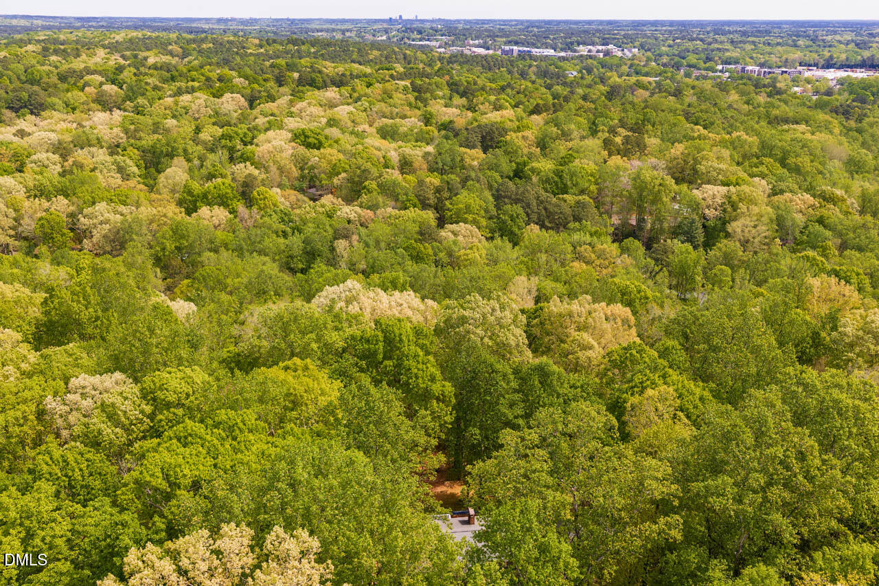 31 Mt Bolus Road Chapel Hill, NC 27514 - Photo 7 of 70