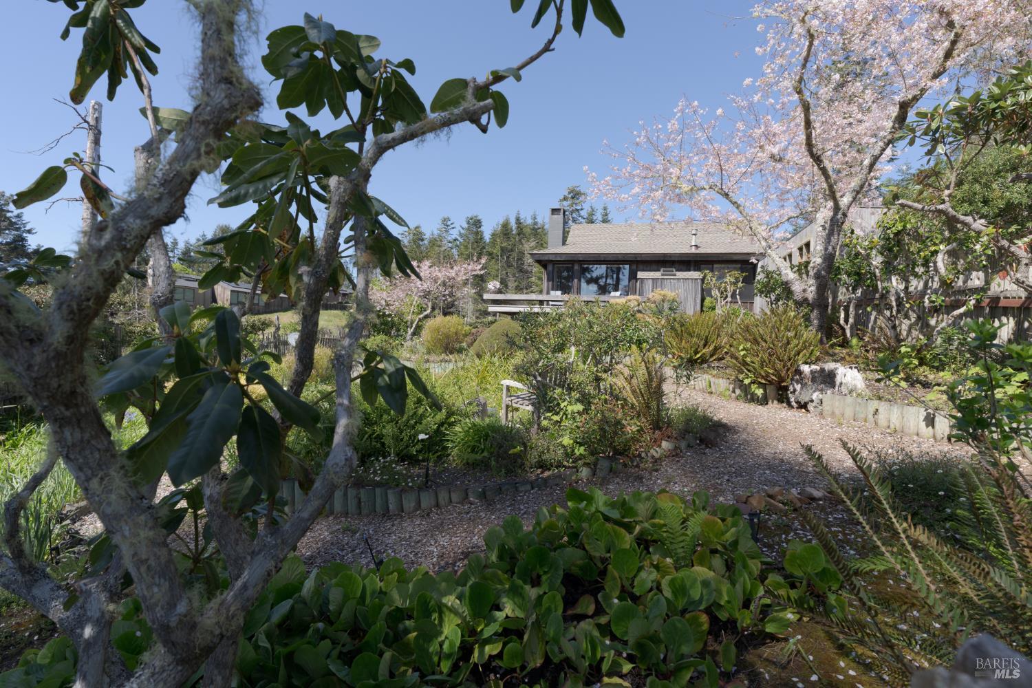35925 Seaward Reach The Sea Ranch, CA 95497 - Photo 38 of 38 Year round enjoyment from different blooms. Spring Cherry Tree.