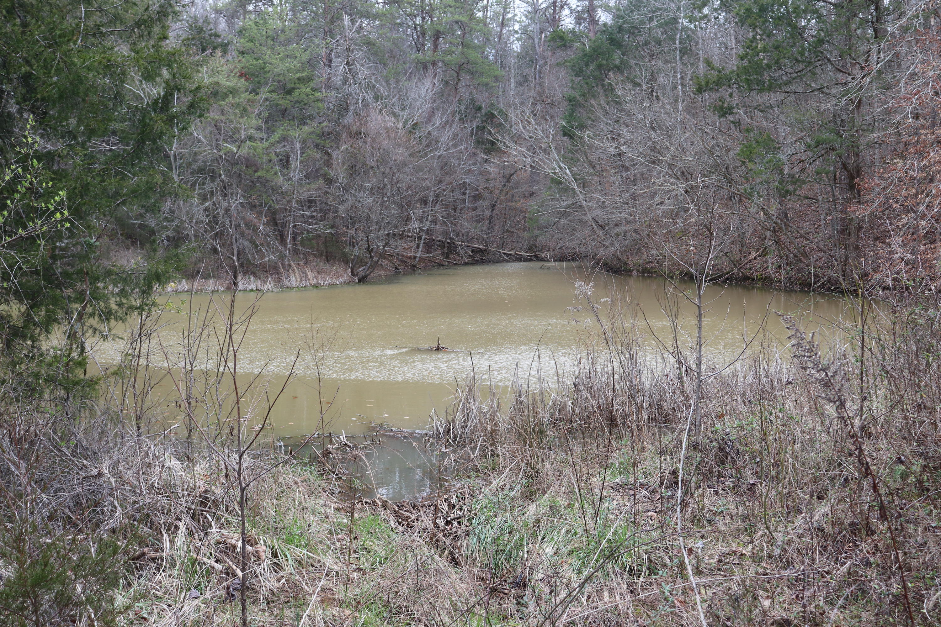 191 Welch Road Tellico Plains, TN 37385 - Photo 1 of 6 IMG_1395