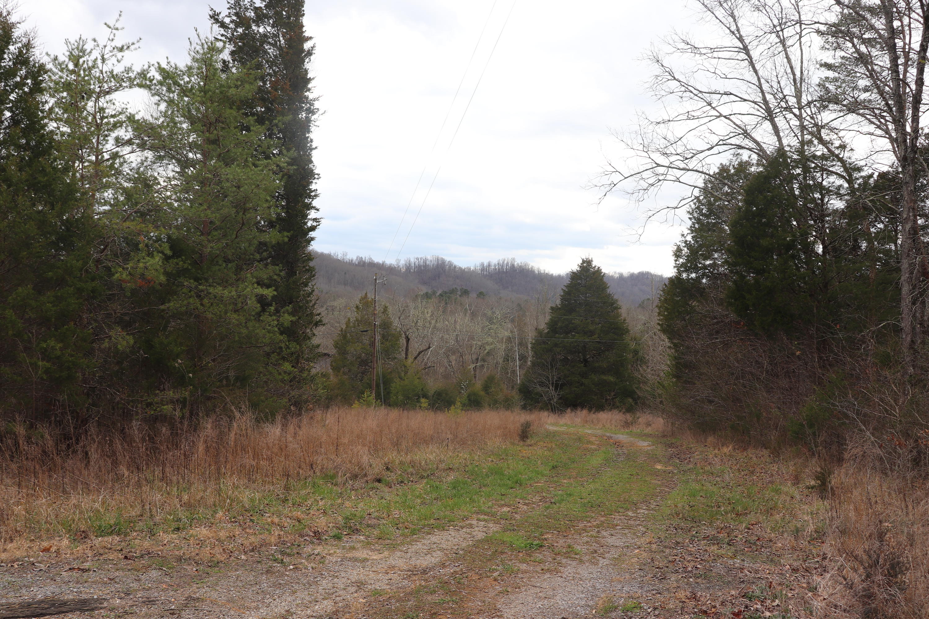 191 Welch Road Tellico Plains, TN 37385 - Photo 2 of 6 IMG_1391