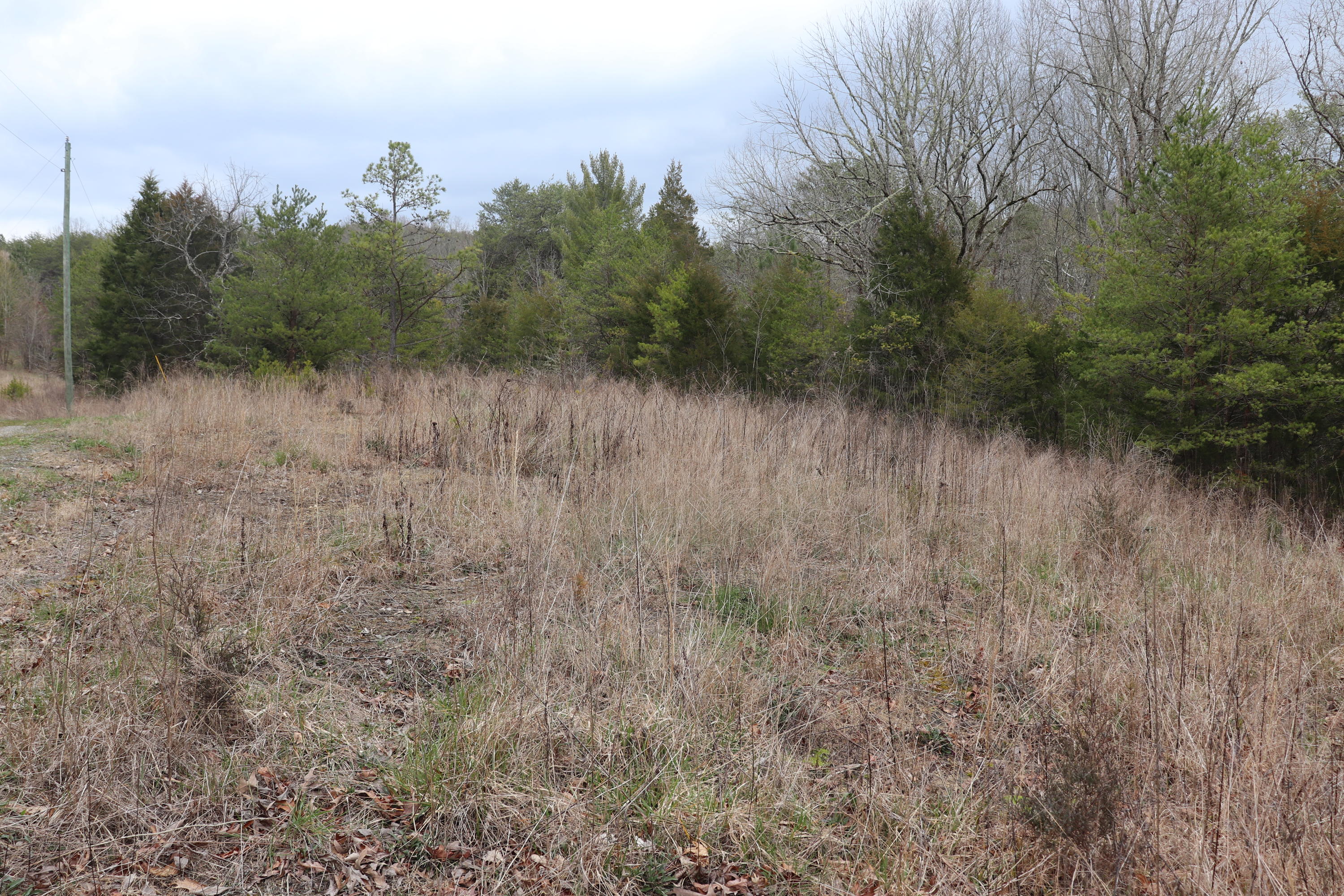 191 Welch Road Tellico Plains, TN 37385 - Photo 3 of 6 IMG_1392