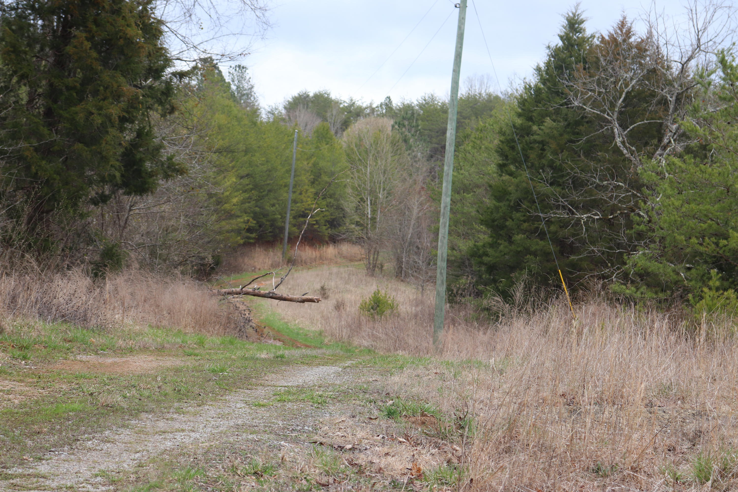 191 Welch Road Tellico Plains, TN 37385 - Photo 4 of 6 IMG_1393