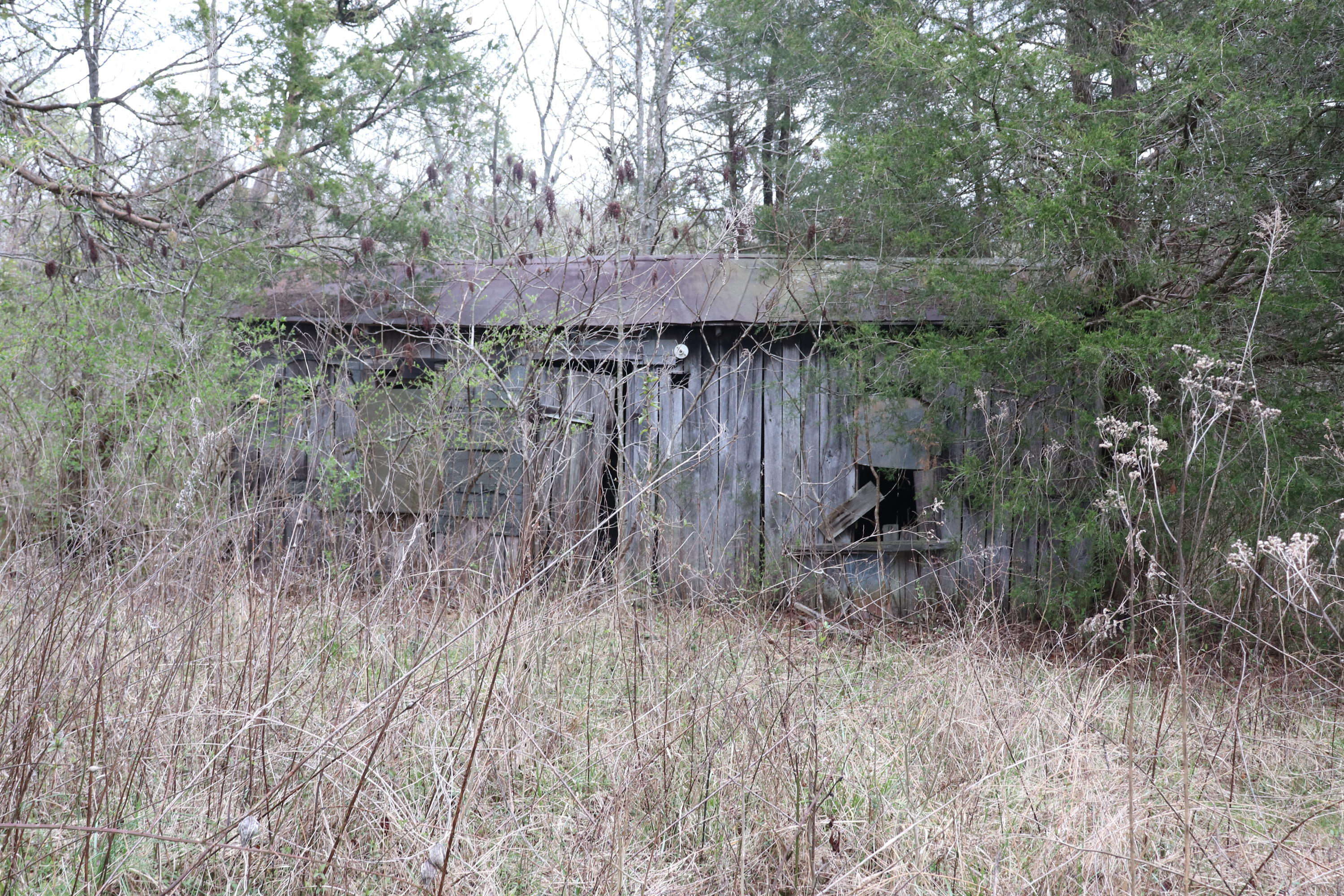 191 Welch Road Tellico Plains, TN 37385 - Photo 5 of 6 IMG_1397