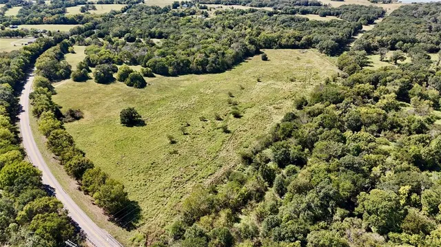 a view of a yard with plants