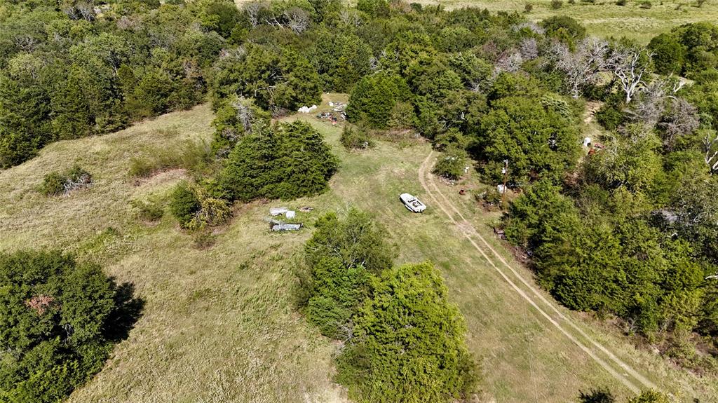11532 Fm 1651 Canton, TX 75103 - Photo 14 of 21 a view of a forest with trees