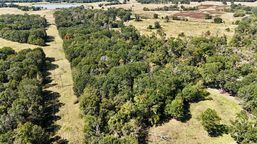 11532 Fm 1651 Canton, TX 75103 - Photo 3 of 21 a view of a yard with plants