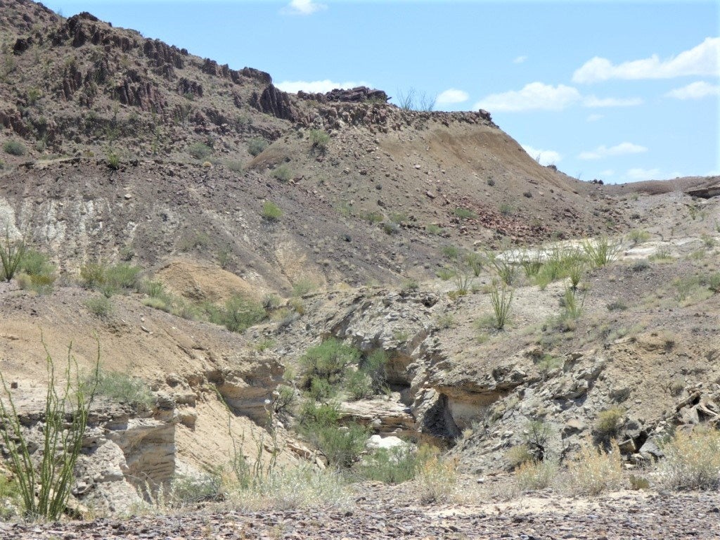 310 Gate 1 Road Alpine, TX 79830 - Photo 13 of 13 Gallery Image 13