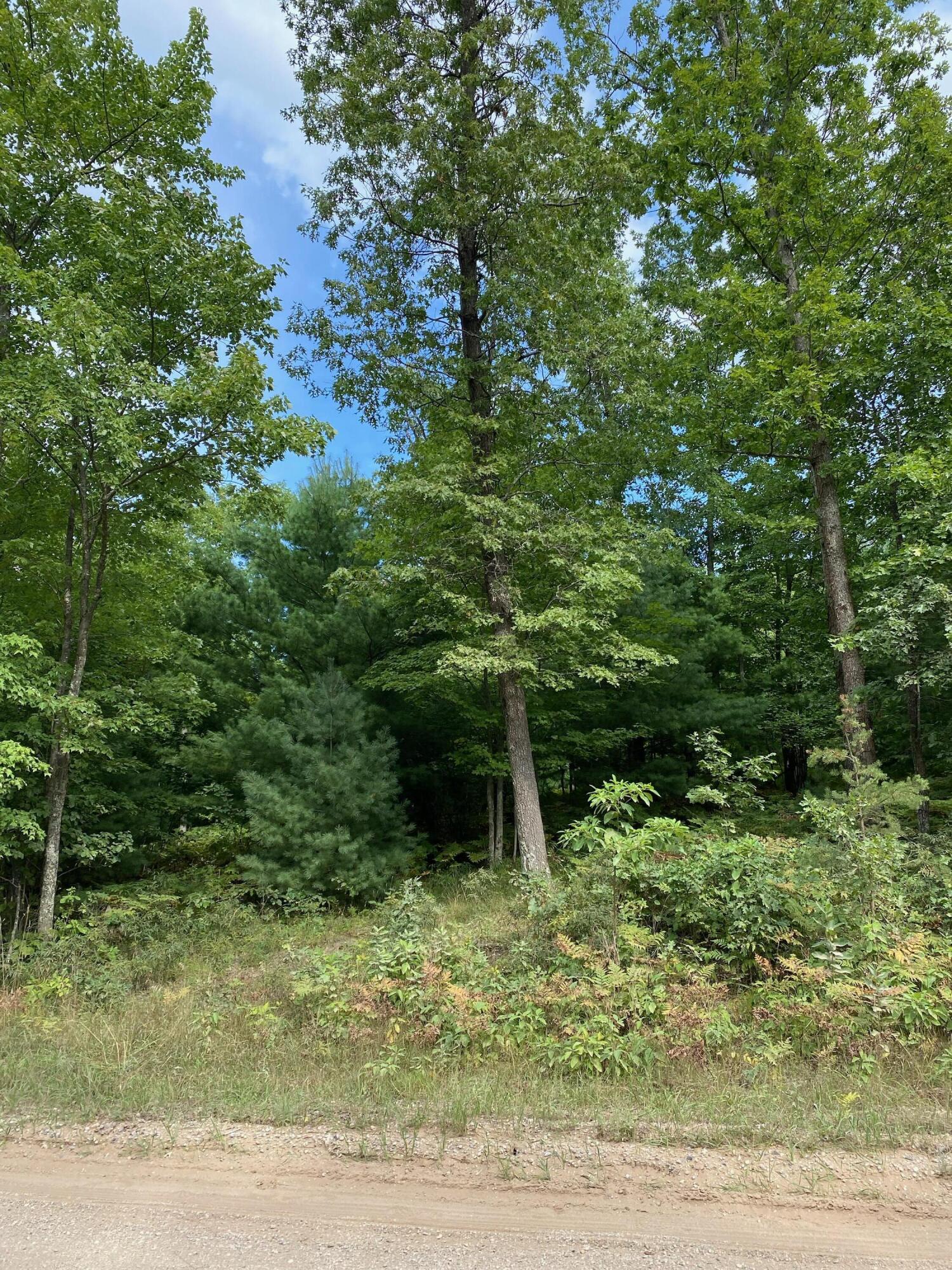 North Custer Road Free Soil, MI 49411 - Photo 2 of 5 Trees