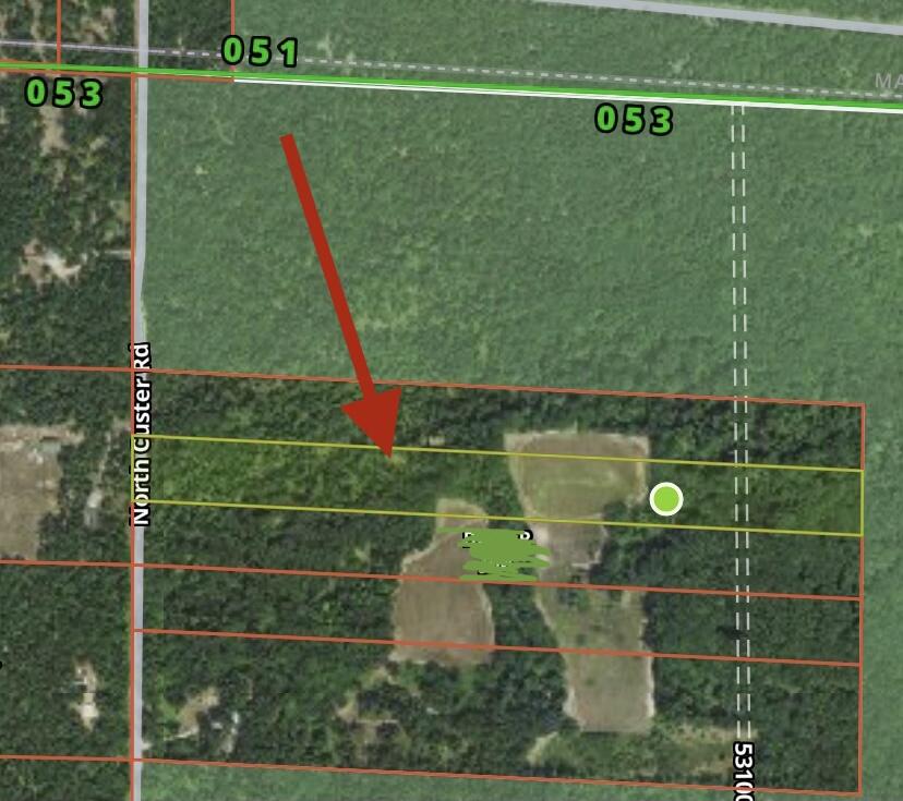 North Custer Road Free Soil, MI 49411 - Photo 5 of 5 13.33 A M/L Custer RD