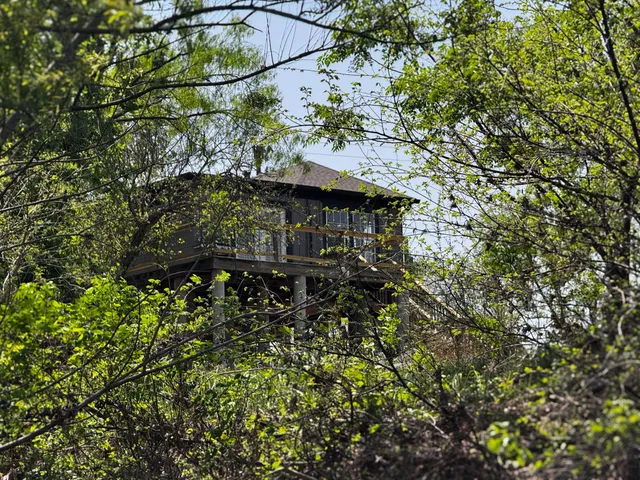 a view of a house with a tree