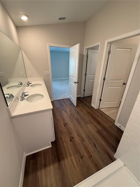 34706 Blossom Fall Path Dade City, FL 33525 - Photo 19 of 27 a bathroom with a sink and mirror