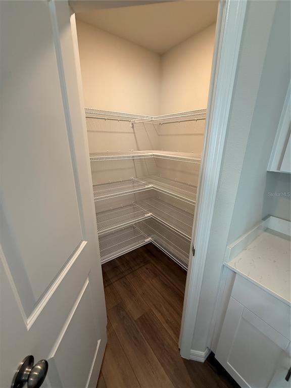 34706 Blossom Fall Path Dade City, FL 33525 - Photo 6 of 27 a view of walk in closet