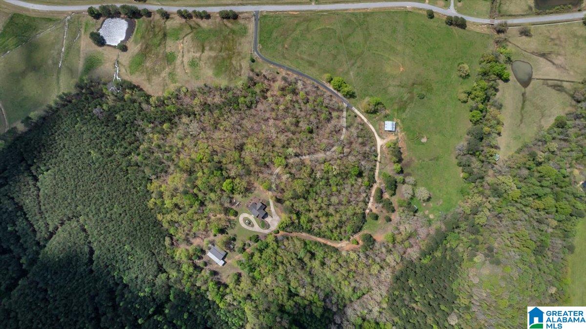 515 Robbins Branch Road Altoona, AL 35952 - Photo 2 of 53