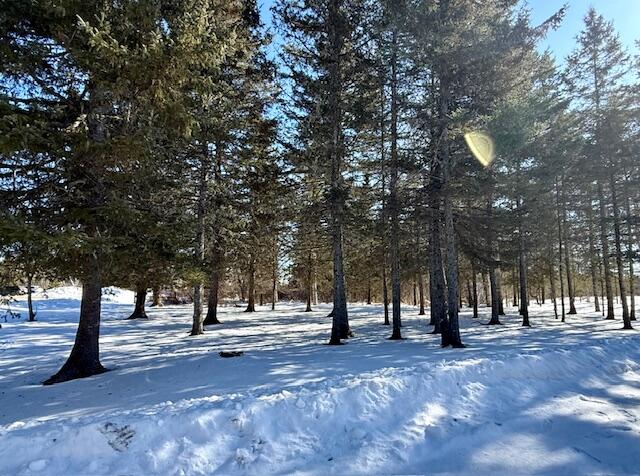 20 Vanasse Road Eastport, ME 04631 - Photo 2 of 65 vanasse 2