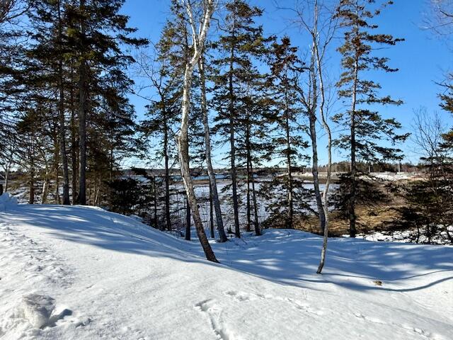 20 Vanasse Road Eastport, ME 04631 - Photo 3 of 65 vanasse 3