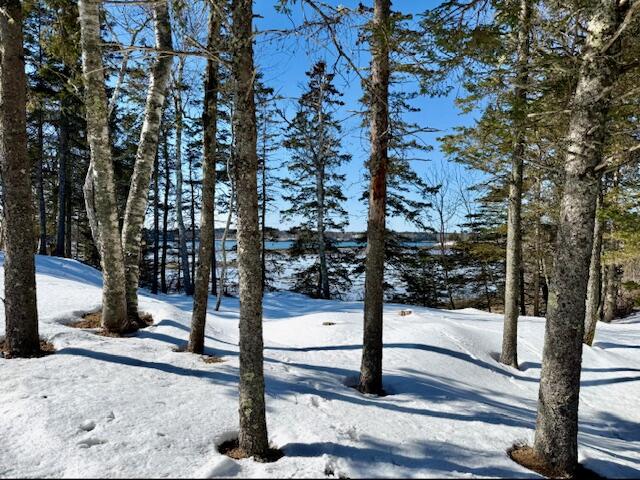 20 Vanasse Road Eastport, ME 04631 - Photo 4 of 65 vanasse 4