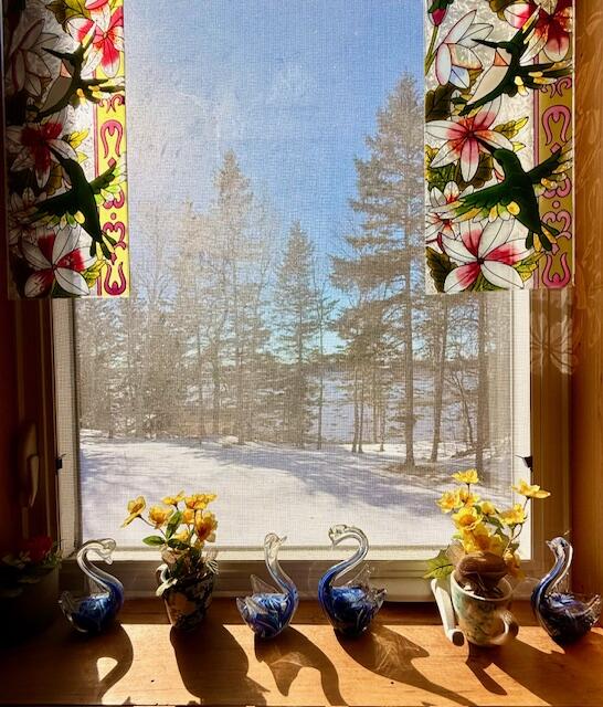 20 Vanasse Road Eastport, ME 04631 - Photo 42 of 65 vanasse 42