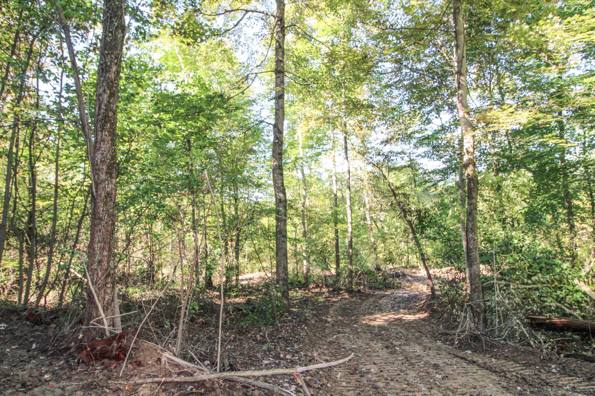 0 Mud Run Road Summerfield, OH 43788 - Photo 26 of 51 IMG_5452