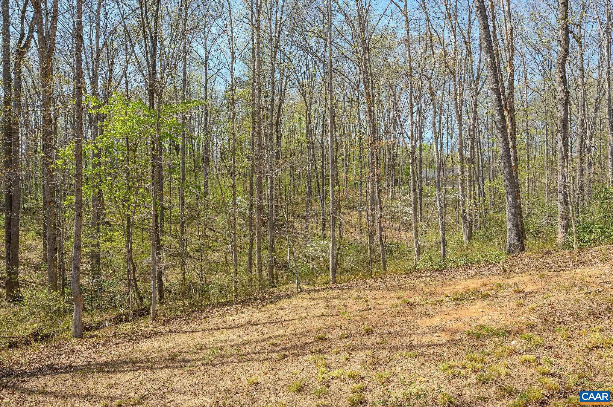 266 Swift Run Road Ruckersville, VA 22968 - Photo 16 of 29