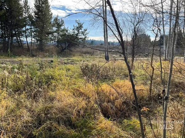 $110,000 | 25 F Street, Cascade, ID 83611