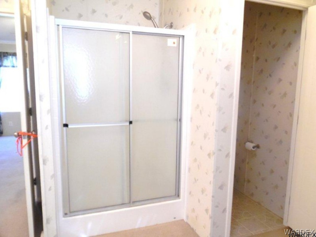 3645 Glen Canyon Road Golden Valley, AZ 86413 - Photo 13 of 22 Master Shower