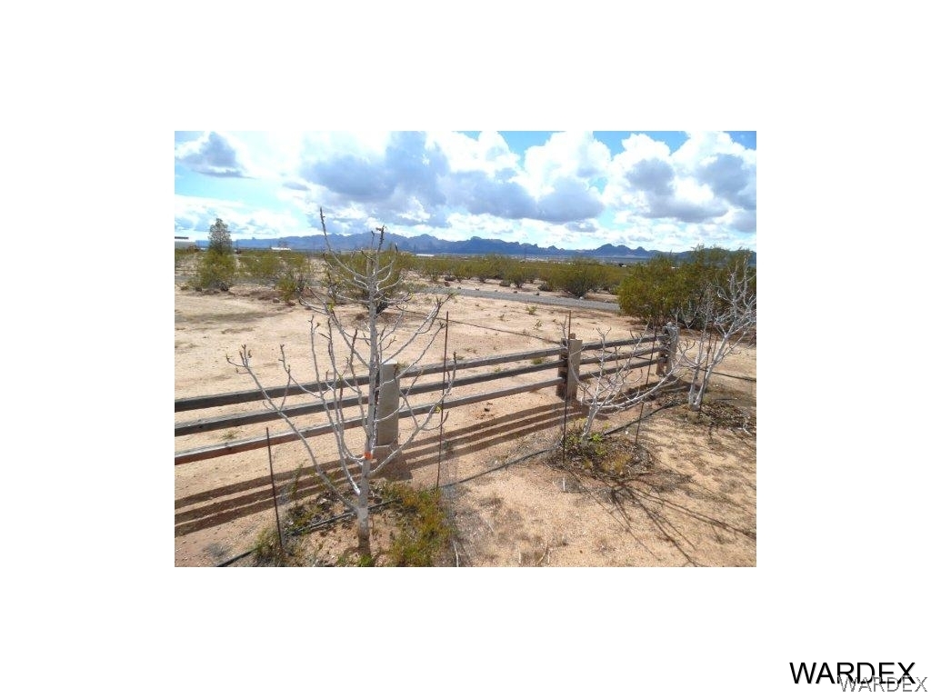 3645 Glen Canyon Road Golden Valley, AZ 86413 - Photo 21 of 22 Fig Trees