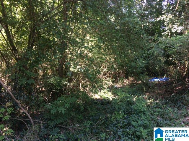 1238 Clark Mtn Road West Bessemer, AL 35023 - Photo 1 of 1