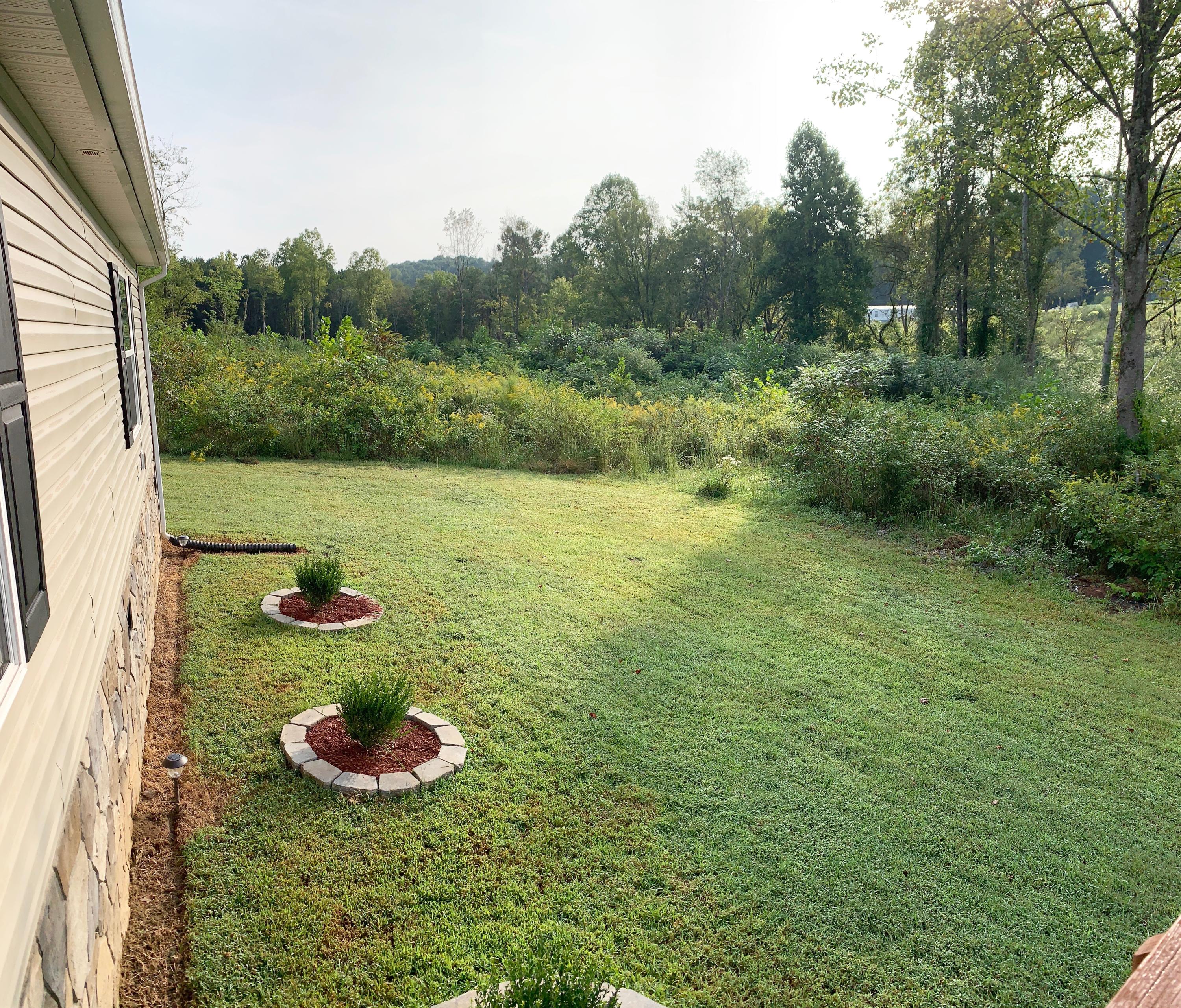 4732 Shipe Road Corryton, TN 37721 - Photo 6 of 23 IMG_5582